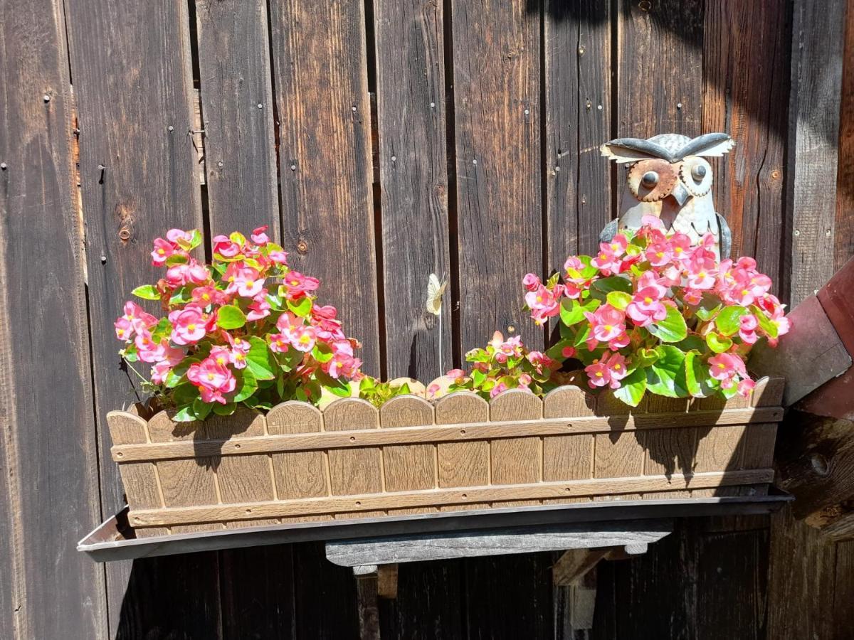 Ferienwohnung Im Seidlerhof Mit Balkon Und Garten Rohrnbach Exterior photo